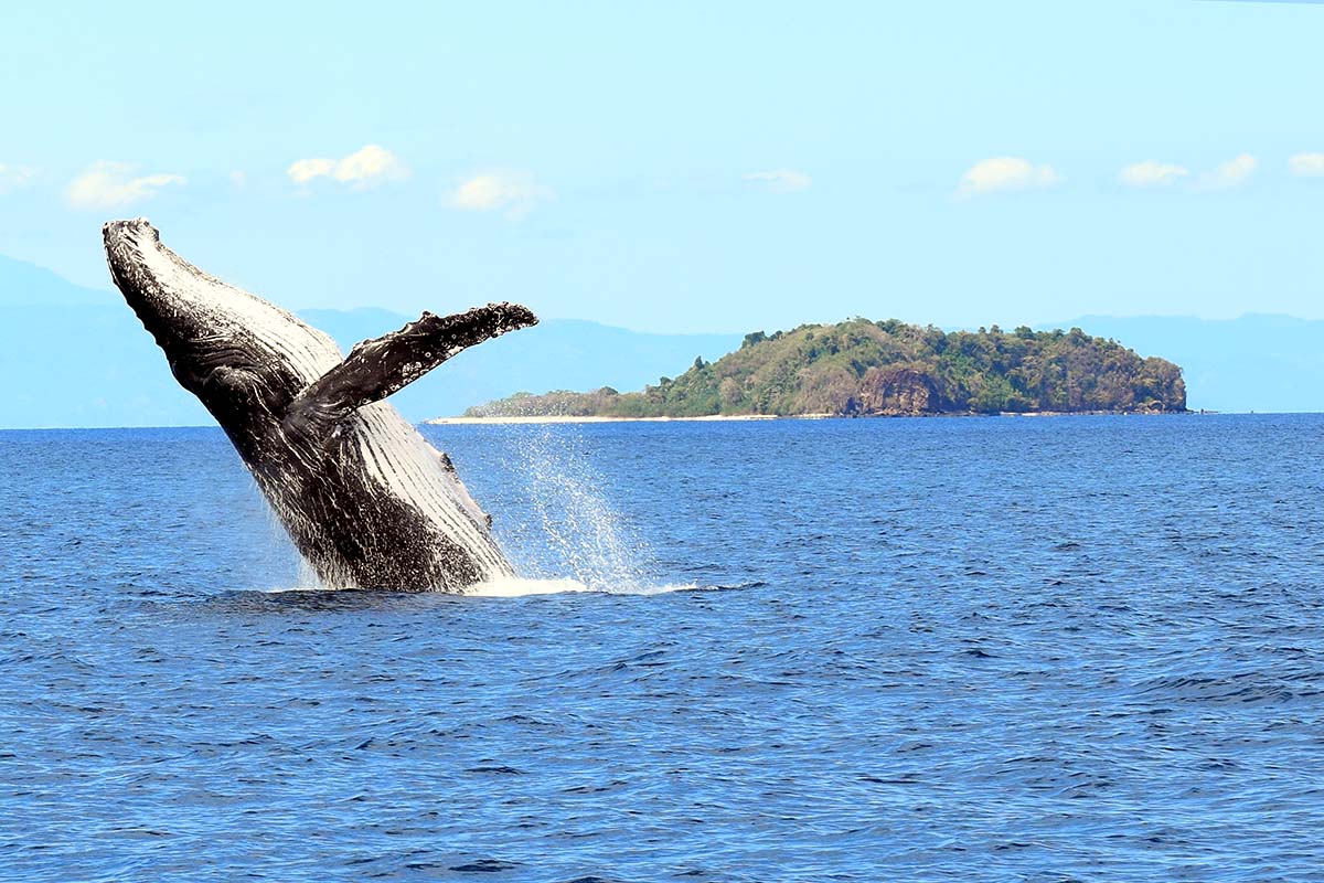 Parc marin de Nosy Tanikely